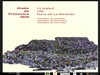 Diada de Primavera dels Castellers de Cornellà